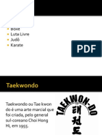 Taekwondo Slide Lindo (1) (1)
