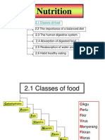 Nutrition: 2.1 Classes of Food