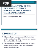 Download Clinical Anatomy of the Esophagus and Stomach by mackiecc SN16560521 doc pdf