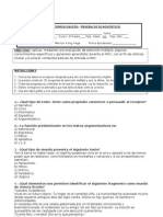 Prueba Diagnóstico Segundo Medio