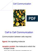Cell To Cell Communication