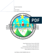 Protocolo Crisantemo