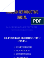 GAMETOGENESIS IMPLANTACION