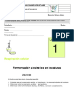 Laboratorio 1