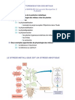 Cours Phytoremediation