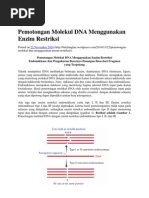 Download Pemotongan Molekul DNA Menggunakan Enzimdocx by Anita Puspita SN165734756 doc pdf