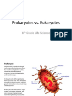 Prokaryotes Vs Eukaryotes