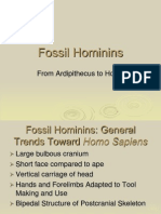 Fossil Hominins
From Ardipithecus to Homo