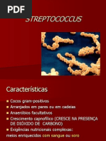 Streptococcus Ideal