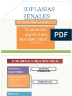 30 - 2R Neoplasias Renales