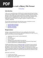 How To Crack A Binary File Format