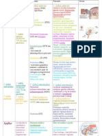 Glandele Endocrine