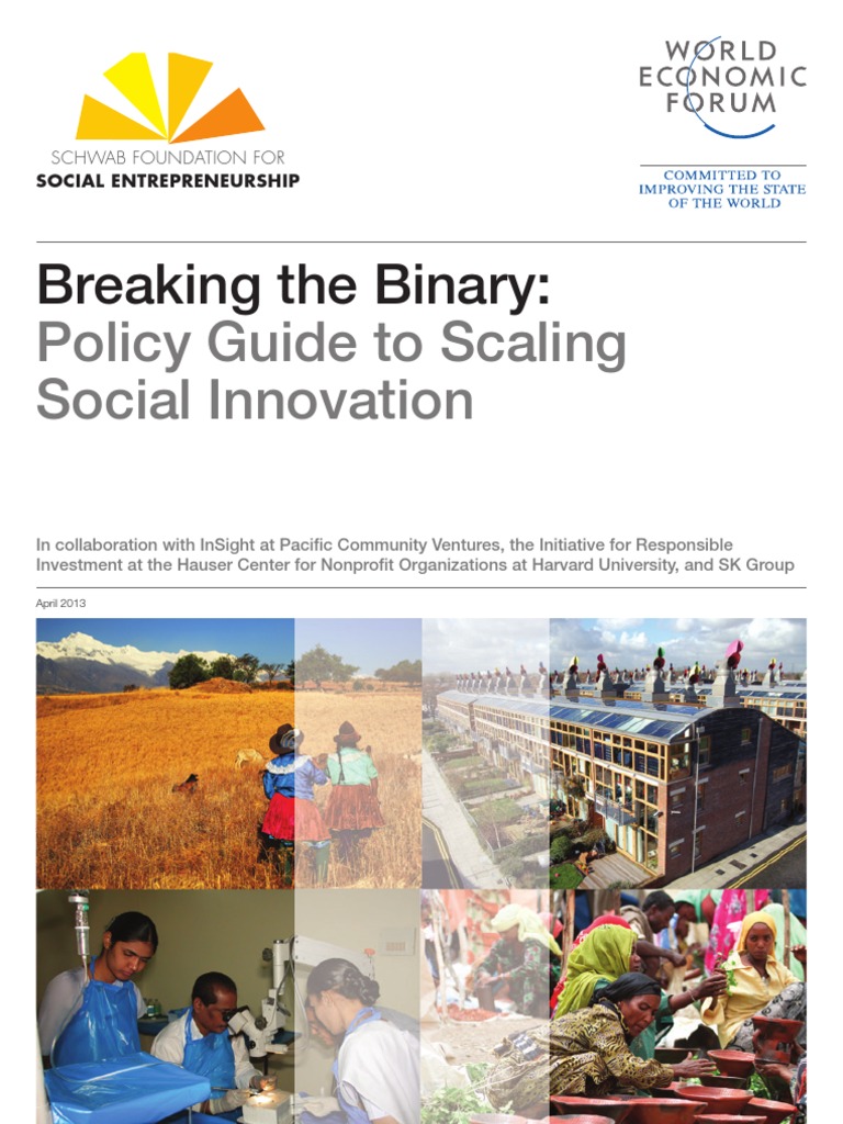 Breaking The Binary | PDF | Social Enterprise | Social Entrepreneurship