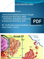 RE Fungsi dan Lokasi Sintesis Protein