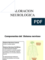 Valoración neurológica: componentes del SNC y SNA