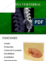 Anatomia de Column A