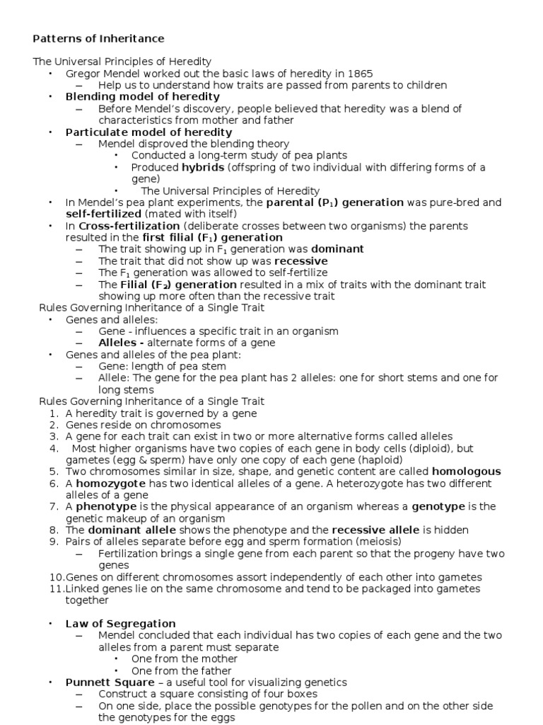 Mendelian Patterns of Inheritance | PDF | Heredity | Dominance (Genetics)