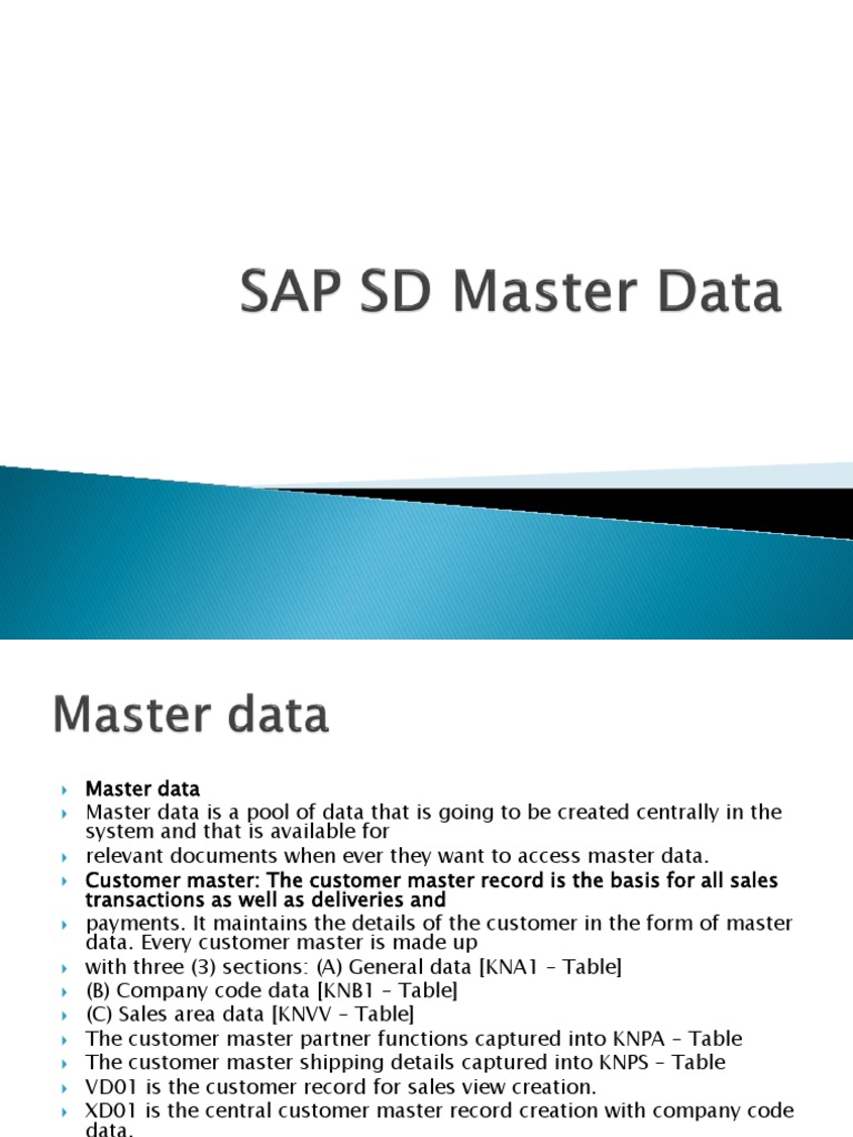 SAP SD Master Data PDF