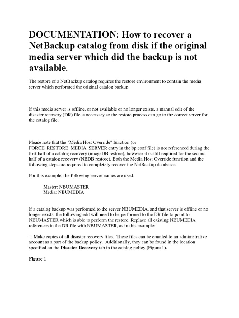 NetBackup Catalog Recovery Guide | PDF | Backup | Computer File