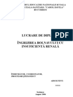 Îngrijirea Bolnavului Cu Insuficientă Renală