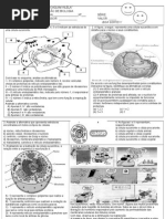 rascunhoprovorecuperado-121212195257-phpapp01