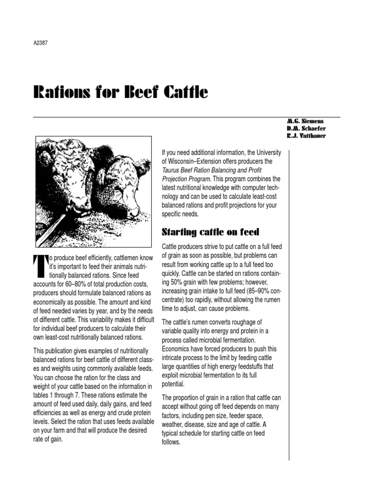 Rations for Cattle Animal Feed Cattle Prueba gratuita de 30 días