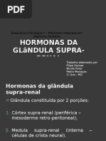 hormonas adrenergicas