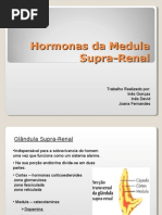 Medula Supra Renal - Ineses e Joana