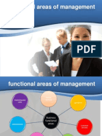 Functional Areas of MGMT