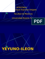 6ta Clase Abdomen - Yeyuno, Ileon - Dr. Espinoza