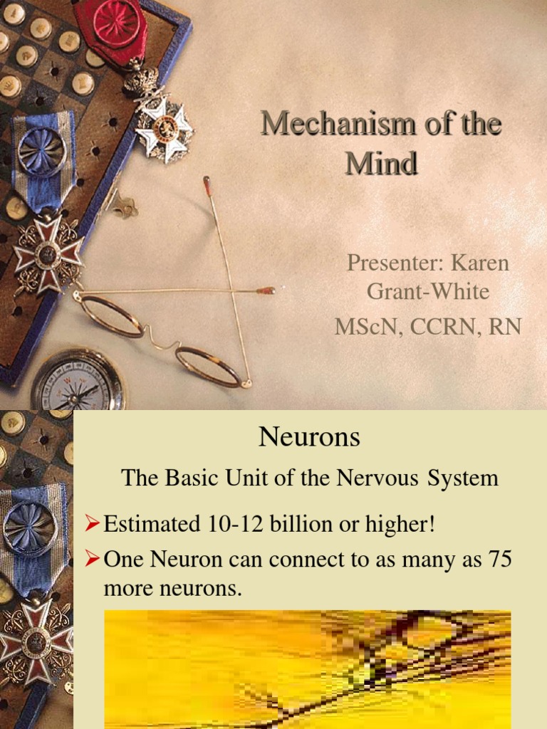 Understanding Neurons and Brain Functions | PDF | Neuron | Synapse