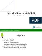 SpringPeople Introduction to Mule ESB
