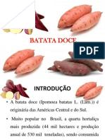 Batata Doce Aula 01