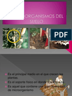 Microorganismos Del Suelo