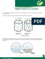 Aplicacion Del Algebra Lineal en Un Estudio Experimentalali_u3_oa04