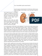Nefrologia_1a lezione.pdf