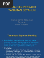 Download HAMA DAN PENYAKIT TANAMAN SETAHUN SAYURAN01 by rahmaniaa SN16605485 doc pdf