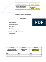 Estudio de Seguridad Ergonomia