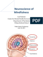 Neuroscience Mindfulness