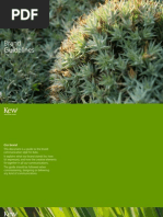 Kew Brand Guidelines