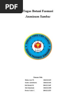 Download Jasminum sambac by Janette Howell SN166093960 doc pdf