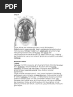 Download Ginjal by yusuf smaja SN16612335 doc pdf