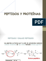 06.peptidos y Proteinas