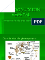 Reproduccion Vegetal