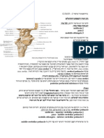 Neuroanatomy 08