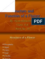 Structure and Function of A Flower