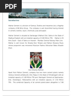 Download Cement Industry - Maihar Cement Birla Gold by Gaurav Kumar SN16618936 doc pdf