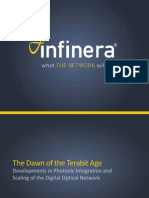 infinera-Dawn_Terabit_Age.pdf