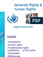 Fundamental Rights & Human Rights: Legal Environment