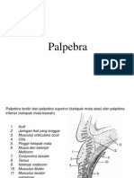 Palpebra-Cornea-Keratitis